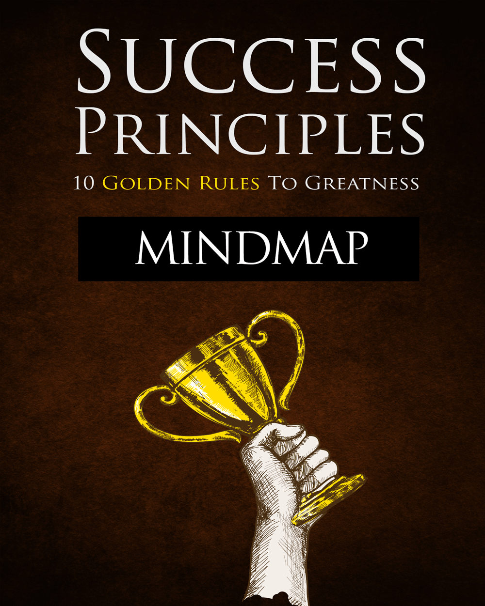 Success Principles Self-Help E-Book - Mastering Success - Success Rules - Successful Women